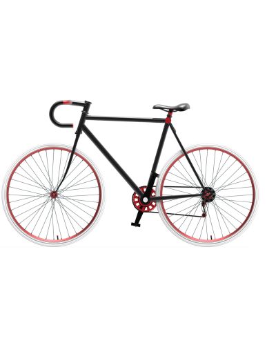 Fusion Bicycle (Demo)